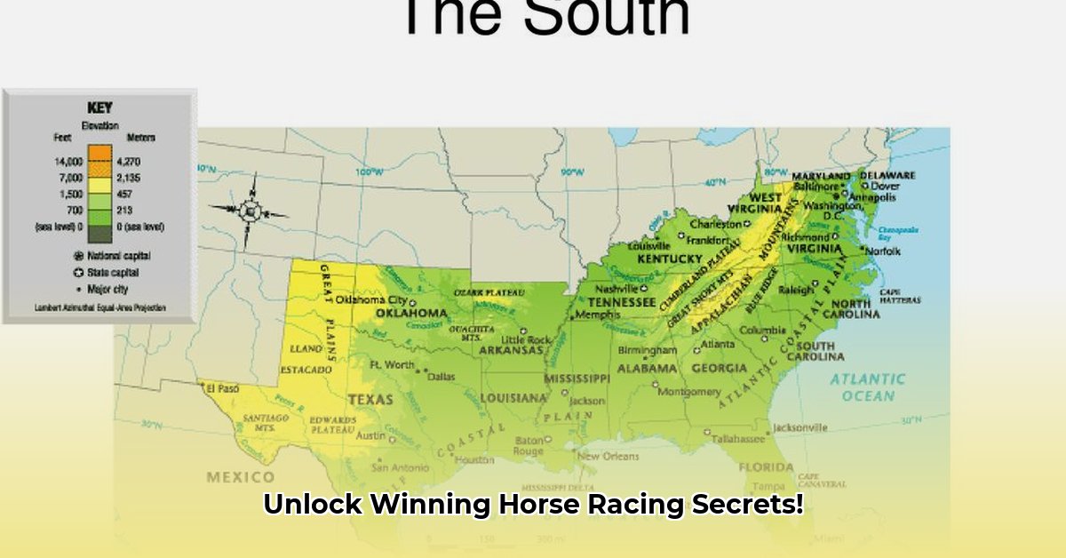 south-african-horse-racing-form-guide